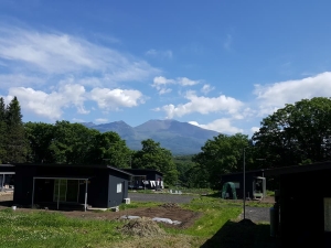初夏① 初夏①