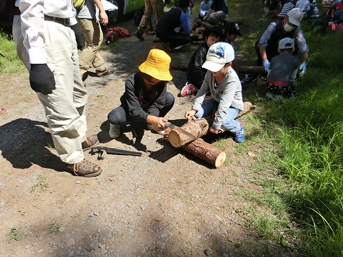 こども自然探検隊 こども自然探検隊