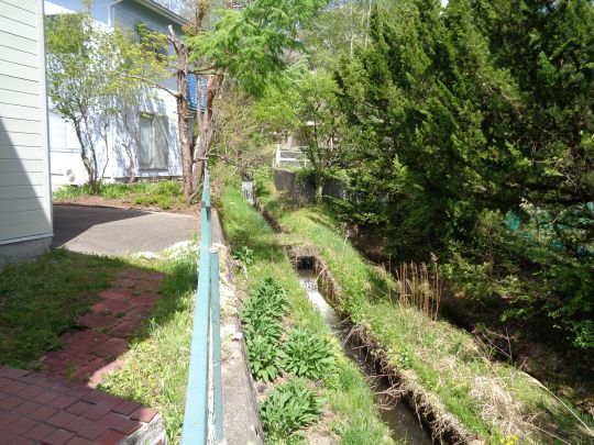 南側水路①