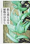 根も葉もある植物の 根も葉もある植物の